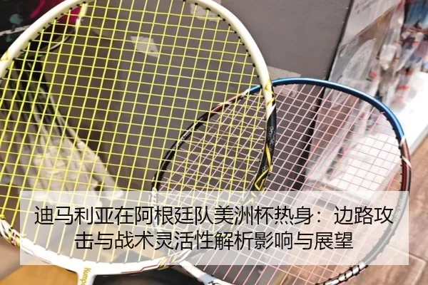 迪马利亚在阿根廷队美洲杯热身：边路攻击与战术灵活性解析影响与展望