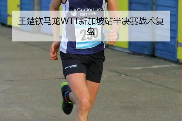 wang-chu-qin-ma-long-xin-jia-po-zhan-ban-jue-sai-zhan-shu-fu-pan-2-546.jpg