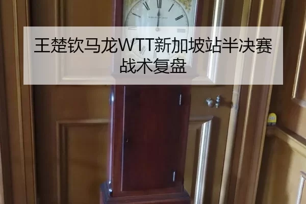 王楚钦马龙WTT新加坡站半决赛战术复盘
