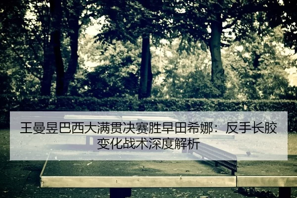 wang-man-yu-ba-xi-da-man-guan-jue-sai-sheng-zao-tian-xi-na-fan-shou-zhang-jiao-bian-hua-zhan-shu-shen-du-jie-xi-3-974.jpg
